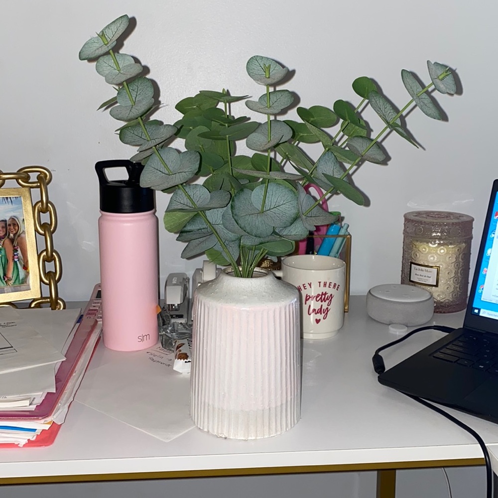 Artificial Plant from Target painted white